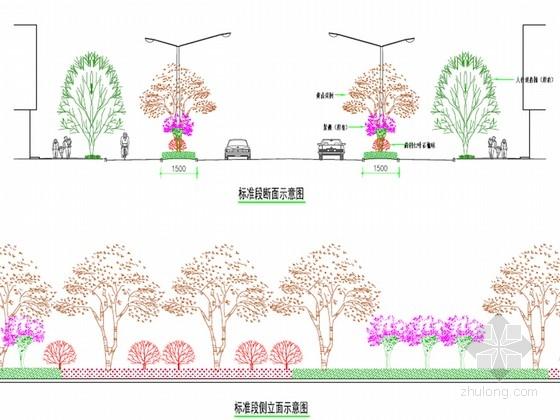 [安徽]市政道路绿化提升工程施工图设计38张